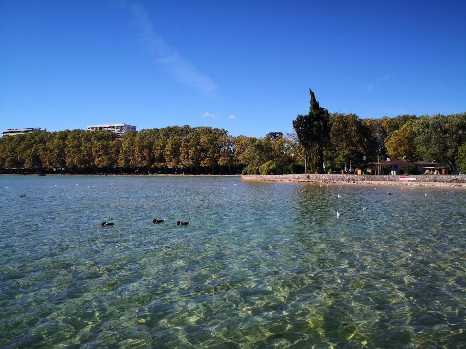 Apartamento Studio Moderne, Place Parking Prive, Emplacement Ideal A 100 M Du Lac. Annecy Exterior foto